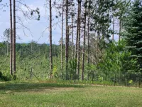 Cabin in Wooded Setting, Safe, Charming, Thumb Lake, Mushrooms, Beautiful Views!
