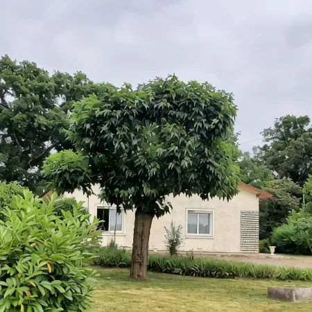 Vintage house in the country