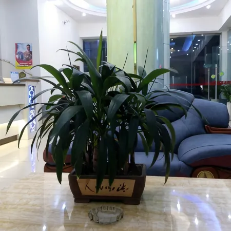 Tengxian Jiulong Business Hotel