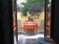 Il Plancton