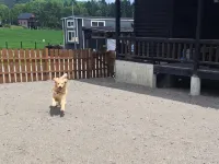 コンセプトコテージ　和み舎ひるがの