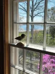 Historic 1785 Cape on 46 Forest Acres/ Water View/Pet Friendly