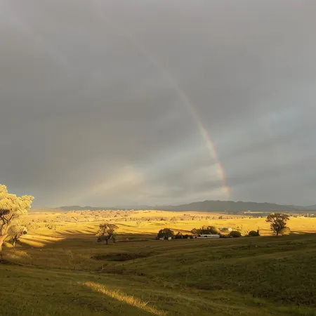 Cosy Farm Stay just minutes from the heart of Mudgee