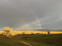 Cosy Farm Stay just minutes from the heart of Mudgee