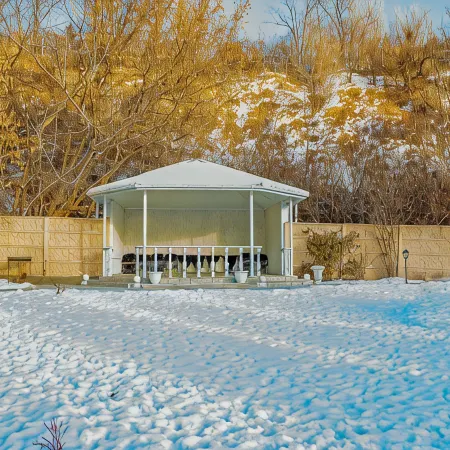 Журавли