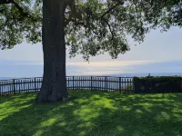Contrada Willow - Linden trees Hotels in Milo