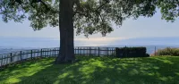 Contrada Willow - Linden trees - 民泊