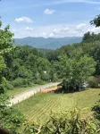 Smoky Mountain Holmestead, cabin near Bryson City - Chalets