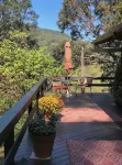 Peaceful and private cabin overlooking the Little Buffalo River. - Homestays