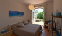 Superb villa sun swimming pool, quiet garden and sea view on the heights of Nice -  Ferienhäuser