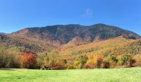 Cabin With A View - Hytter