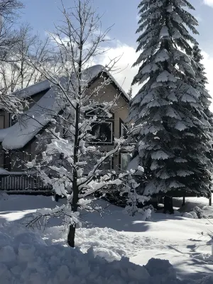 Private Chalet with views and a Sauna - Homestays