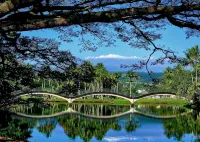 Beautiful Condo in the Heart of Hilo - Pool - A/C #718