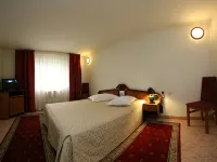 Euro Hotel Hotel di Timisoara