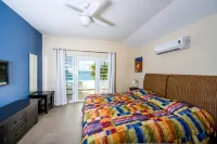 Oceanfront Villa, great house reef, near dive shops, restaurants, sleeps 4 - Villas