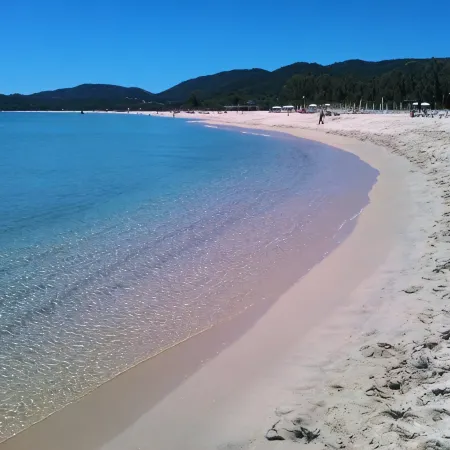 Alma Resort