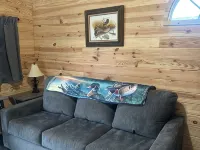 Mallard, Cozy cabin with WiFi and AC in lovely Stevenson. Perfect weekend stay . Hotels in Jackson County