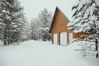 Spacious Cozy Cabin, WIFI, 30 min to YNP