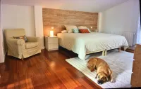 MARKAIDA HOUSE WITH POOL - プール