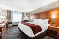 Comfort Inn & Suites Nashville Near Tanger Outlets I-24 Antioch - spa