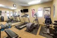 Comfort Inn Evanston I-80 - Gym