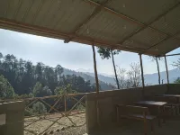 Jungle Stays