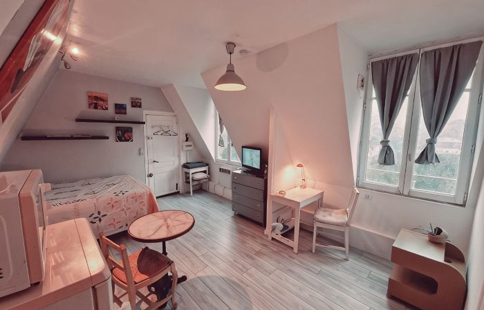 Location saisonnière, meublée, appartement type studio à Sèvres