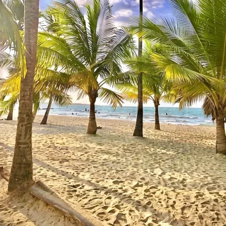Escapada Perfecta en Apartasuites Privadas Coveñas