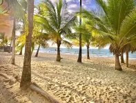 Escapada Perfecta en Apartasuites Privadas Coveñas - Bãi biển