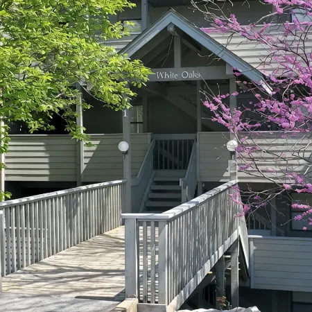 Treehouse Condos - Branson