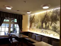 Nanis Hotel & Appartements - Parvekkeita