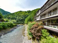 Ryokan Bijintei - Mountain view
