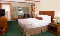 Knotty Pine Motel - Motels