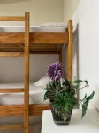Trem Chic - Hostels
