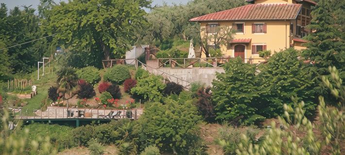 Appartement with pool, located between olive treees and wine rapes Hotels in Capannori