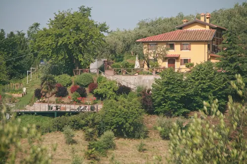 Appartement with pool, located between olive treees and wine rapes - Pools