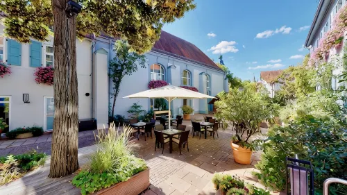 Hotel Domhof - bar