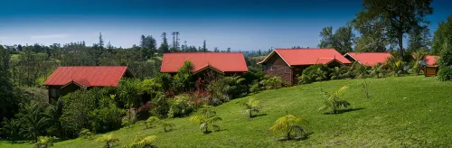 Jacaranda Park Holiday Cottages - Apartments