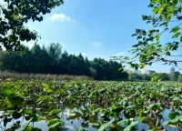 Wuhu Haiyue Future Hotel (Fangteland Jiuzi Ancient Town) - Romantic
