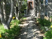 Igdlo Guesthouse - pet friendly