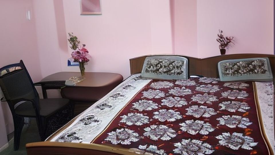Vishwanath Paying Guest House