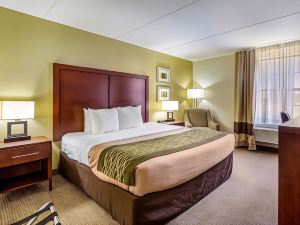 Comfort Inn Newport News - Hampton I-64