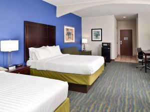 Holiday Inn Express & Suites San Antonio South