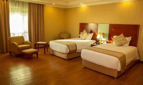 Jupiter International Hotel - Bole