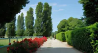 Agriturismo Il Leone Della Torre -  Privatzimmer