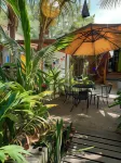 The Funky Dodo Backpackers Hostel Hôtels à : 