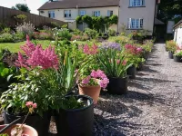 Brambles Bed and Breakfast Hotels in Sampford Peverell