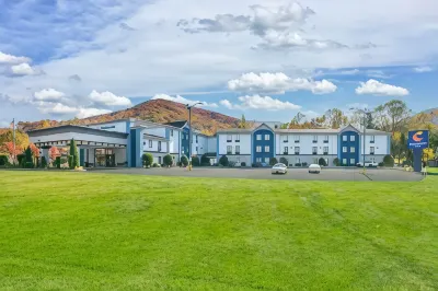 Comfort Inn Asheville East-Blue Ridge Pkwy Access Hotels in Black Mountain