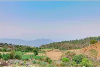 Evergreen Holidays Mahabaleshwar - WiFi