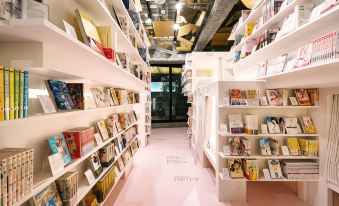 Manga Art Hotel, Tokyo